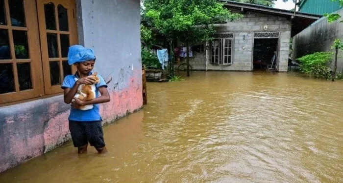 كارثة سريلانكا تتفاقم.. ارتفاع ضحايا إعصار “ديتواه” إلى 465 قتيلاً وخسائر 7 مليارات دولار