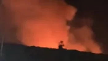 حريق هائل يلتهم زراعات “الهيش” في الغابة الشجرية غرب الغردقة.. والسيطرة التامة دون إصابات