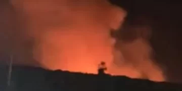 حريق هائل يلتهم زراعات “الهيش” في الغابة الشجرية غرب الغردقة.. والسيطرة التامة دون إصابات