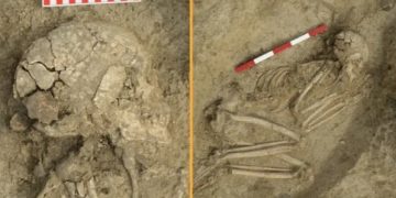 أدلة نادرة: فتى مراهق نجا من هجوم أسد في بلغاريا قبل 6200 عام