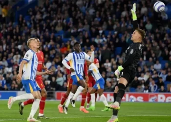 جدول مواعيد مباريات اليوم.. ليفربول يسعى لتصحيح المسار ضد برايتون في جولة “البريميرليج”