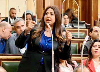 دفاعًا عن حقوق المصريين بالخارج.. النائبة نشوى الشريف تتقدم بطلب إحاطة ضد قرار إلغاء الإعفاء الجمركي لهواتف المحمولة