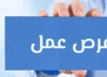 برواتب تصل لـ 20 ألف جنيه.. وزارة العمل تعلن عن 77 وظيفة شاغرة في “سكاي للموانئ” ببورسعيد