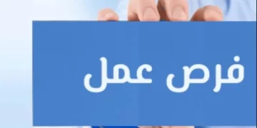 برواتب تصل لـ 20 ألف جنيه.. وزارة العمل تعلن عن 77 وظيفة شاغرة في “سكاي للموانئ” ببورسعيد