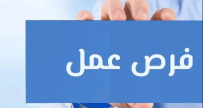 برواتب تصل لـ 20 ألف جنيه.. وزارة العمل تعلن عن 77 وظيفة شاغرة في “سكاي للموانئ” ببورسعيد