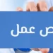 برواتب تصل لـ 20 ألف جنيه.. وزارة العمل تعلن عن 77 وظيفة شاغرة في “سكاي للموانئ” ببورسعيد