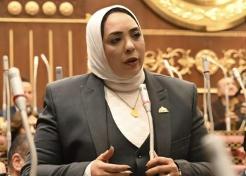 النائبة وفاء رشاد: 3 مليارات متر مكعب هدر في مياه النيل.. ولابد من حلول عاجلة للحفاظ على “شريان الحياة”