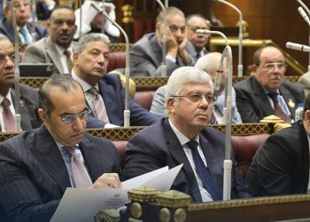 محمود فوزي: تعديلات المستشفيات الجامعية تنظيمية والحكومة منفتحة على رأي نقابة الأطباء