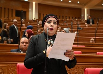 جيهان شاهين: تحذيرات الرئيس السيسي رسالة واضحة لضرورة احترام سيادة الدول ووحدة أراضيها