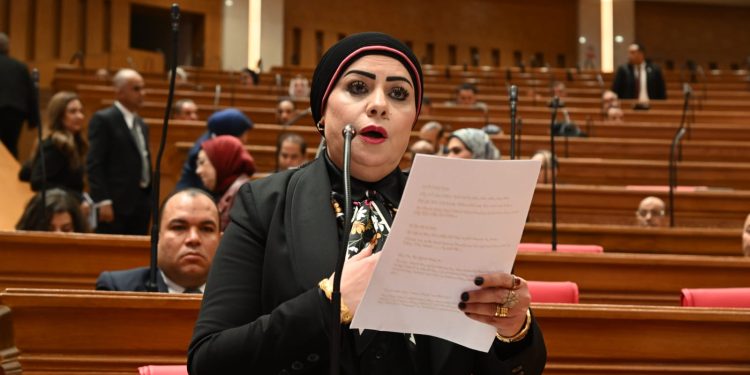 جيهان شاهين: تحذيرات الرئيس السيسي رسالة واضحة لضرورة احترام سيادة الدول ووحدة أراضيها