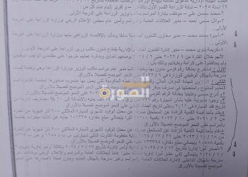 ابتكروا مسميات وظيفية بالتزوير.. القضاء الإداري يفضح شبكة “المديرين الوهميين” بوزارة الزراعة.. إيه الحكاية؟