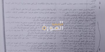 ابتكروا مسميات وظيفية بالتزوير.. القضاء الإداري يفضح شبكة “المديرين الوهميين” بوزارة الزراعة.. إيه الحكاية؟