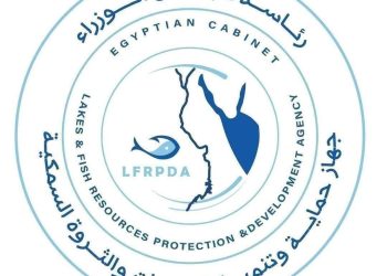 جهاز حماية وتنمية البحيرات والثروة السمكية: إنتاج ٧١ طنًا من الأسماك بمزرعتي المنزلة وبرسيق السمكية لتعزيز الإنتاج