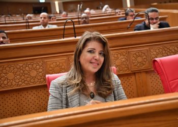 داليا السعدني: دعم الأعمال الفنية الهادفة ضرورة لتعزيز قيم الأسرة المصرية وترسيخ الهوية الوطنية