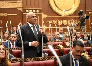 النائب شعبان رأفت: تعليق العمليات العسكرية فرصة لإعادة ضبط المشهد الإقليمي.. ومصر تلعب دورًا محوريًا في تقريب وجهات النظر بين واشنطن وطهران