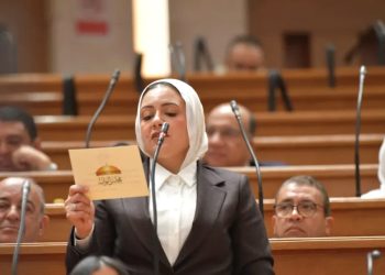 النائبة ريهام عبد النبي: الجنية المصري الأسوأ في العالم منذ بداية الأزمة 