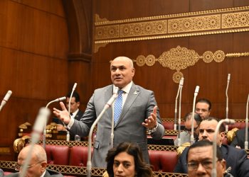 النائب شعبان رأفت: توجيهات الرئيس السيسى تدعم استقرار الأسواق وتحمي المواطن وتكبح الاحتكار