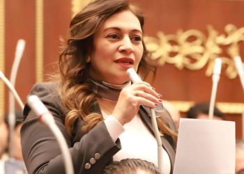 النائبة نيفين فارس تتقدم باقتراح برغبة لترشيد الإنفاق الحكومي وتعزيز كفاءة إدارة الموارد العامة