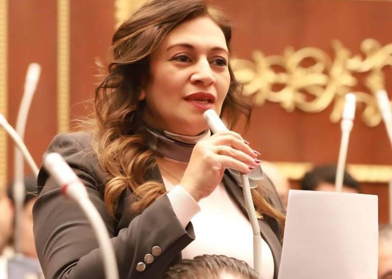 النائبة نيفين فارس تتقدم باقتراح برغبة لترشيد الإنفاق الحكومي وتعزيز كفاءة إدارة الموارد العامة
