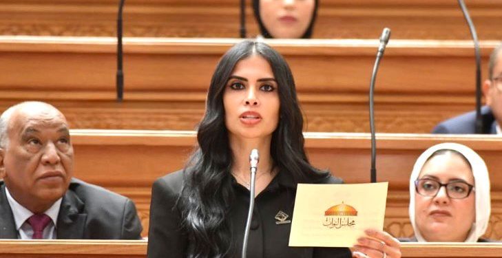 النائبة هايدي المغازي تطالب بإعادة النظر في نسب قبول أبناء المصريين بالخارج بالجامعات الحكومية لضمان تكافؤ الفرص