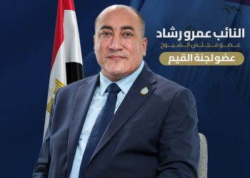 النائب عمرو رشاد: كلمة الرئيس السيسي حملت العديد من الرسائل المهمة وتحرير سيناء درس في العزيمة والصبر