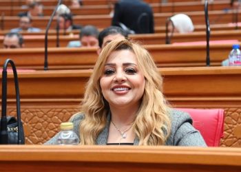 النائبة هبة غالي: توجيهات الرئيس بتقديم أقصى درجات الرعاية للمصريين بالخارج خطوة مهمة نحو تعزيز الروابط الوطنية 