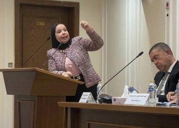 النائبة أمل عصفور أمام “صحة النواب”: الرقمنة والتنسيق وحل مشكلة المديونيات وسرعة الخدمة مفاتيح حل أزمات التأمين الصحي الشامل