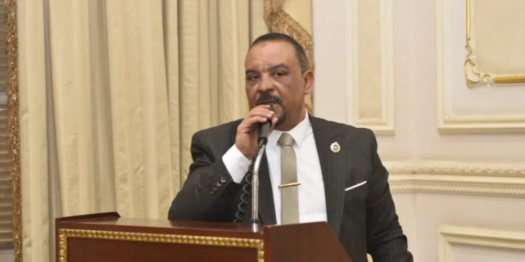 النائب أحمد حافظ يقترح منصة إلكترونية موحدة لتراخيص الأنشطة الصناعية لسرعة الإجراءات وزيادة الانتاج