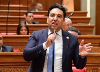 النائب أيمن محسب: فتح مضيق هرمز مناورة تكتيكية وقناة السويس تتأثر بالصراعات الإقليمية