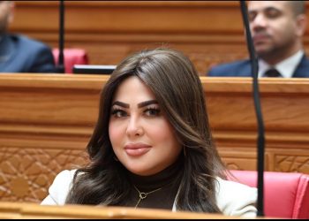 النائبة ولاء الصبان تطالب بإلزام المولات الجديدة باستخدام الطاقة الشمسية وتقليل الضغط على شبكة الكهرباء