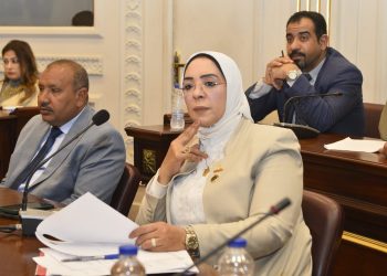 وفاء رشاد تحصل على موافقة بصرف مستحقات مزارعي القصب عن شهر مارس