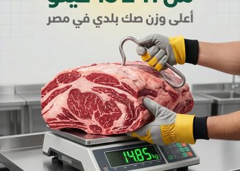 مؤسسة تطبيق سند تطلق موسم الأضاحي 2026 بمنظومة رقمية متكاملة لتعزيز الشفافية والتحول الرقمي في العمل الخيري