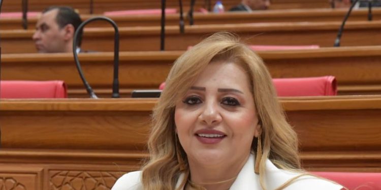 النائبة هبة غالي: جولة رئيس الوزراء بالجيزة تؤكد انحياز الدولة لاحتياجات المواطن وتسريع وتيرة التنمية والخدمات