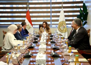 وزيرة التنمية المحلية تبحث مع نقيب المهندسين عدد من مجالات وملفات التعاون المشترك