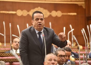 النائب عصام هلال عفيفي: خطة التنمية الاقتصادية والاجتماعية 2026/2027 تعكس طموحًا تنمويًا مهمًا.. ونطالب بمزيد من الوضوح بشأن آليات التنفيذ وقياس الأثر على المواطن