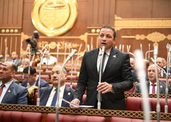 النائب عادل السكري: 30 يونيو ستبقى رمزًا للإرادة الشعبية الصلبة وتوحدهم خلف وطنهم