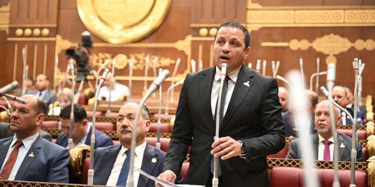 النائب عادل السكري: 30 يونيو ستبقى رمزًا للإرادة الشعبية الصلبة وتوحدهم خلف وطنهم