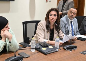 النائبة رانيا الشيمي تتقدم بطلب إحاطة بشأن تهالك مراكز الشباب وصيانة المنشآت الرياضية المتهالكة