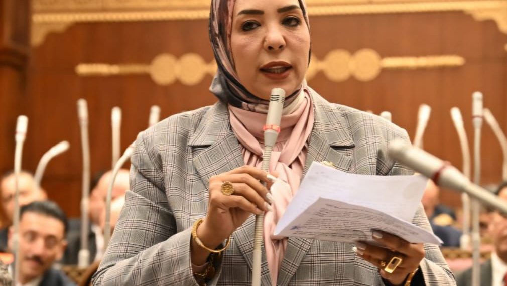 وفاء رشاد: تعميق الصناعة المصرية ضرورة استراتيجية لتعزيز الإنتاج وتقليل الواردات