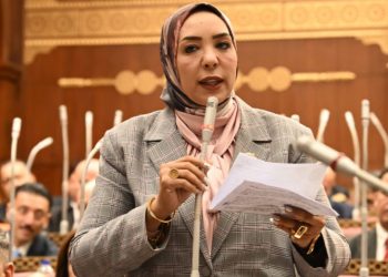 وفاء رشاد: تعميق الصناعة المصرية ضرورة استراتيجية لتعزيز الإنتاج وتقليل الواردات