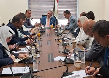 لجنة الشئون العربية بمجلس النواب تناقش دعم مكانة الجامعات المصرية وتيسير التحاق أبناء المصريين بالخارج