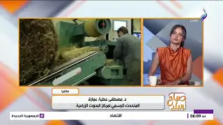خطة حكومية جديدة لإحياء صناعة الكتان في مصر.. متحدث مركز البحوث الزراعية يوضح
