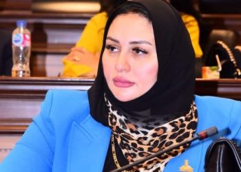 النائبة شيرين صبري تقترح استبدال مسمى “ربة منزل” ببطاقة الرقم القومي بـ”صانعة جيل” 