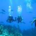 مدير فندق في البحر الأحمر: الغطس والرحلات البحرية يعززان جاذبية المقصد السياحية المصرية