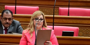 الإجازة الصيفية تضيع بين الهواتف.. النائبة هبة غالي تتقدم بطلب إحاطة للمطالبة بخطة قومية لاكتشاف الموهوبين