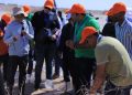 من بكين إلى دونهوانغ.. أقصري يرصد تجربة الصين في دبلوماسية المناخ ومكافحة التصحر