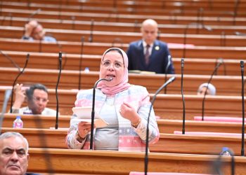 أمل عصفور: الملحق التفسيري لاتفاق مقر جامعة الدول العربية يعزز وضوح التطبيق ويؤكد مكانة مصر العربية