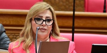 النائبة هبة غالي: زيارة الرئيس لتنزانيا تعكس نجاح الدبلوماسية المصرية في القارة السمراء