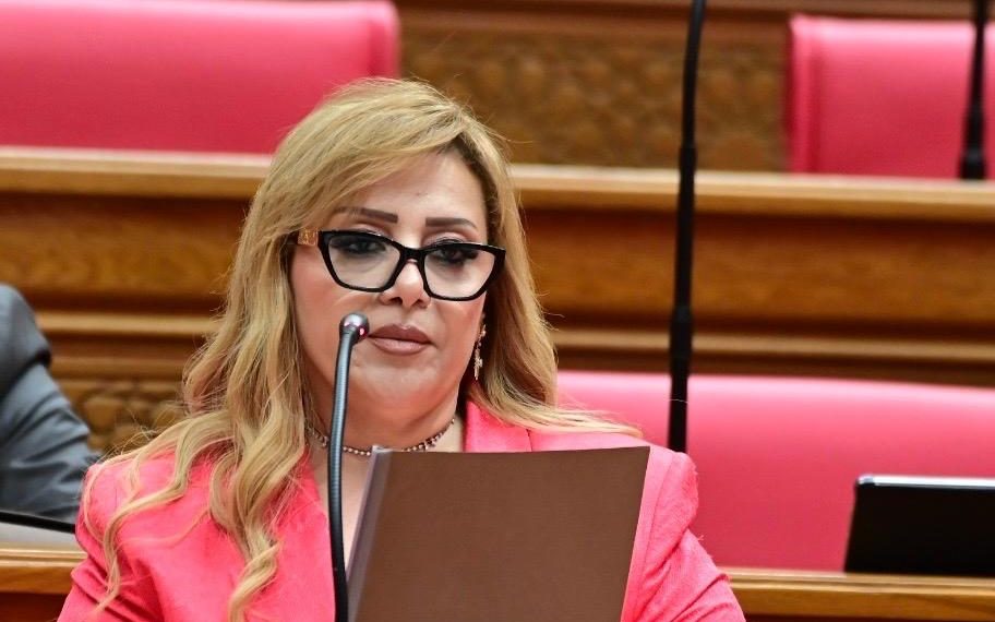 النائبة هبة غالي: زيارة الرئيس لتنزانيا تعكس نجاح الدبلوماسية المصرية في القارة السمراء