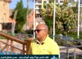 خبير فندقي: الشعاب المرجانية والفلكلور المصري واحدة من أسرار جذب السائحين للبحر الأحمر
